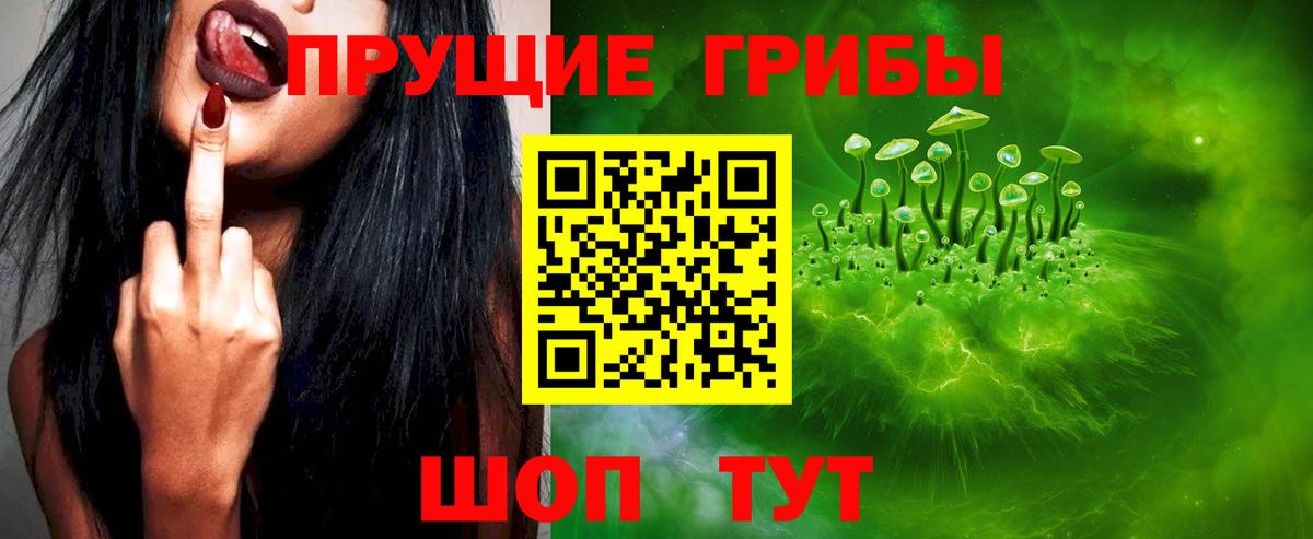 Галлюциногенные грибы мицелий Каменка